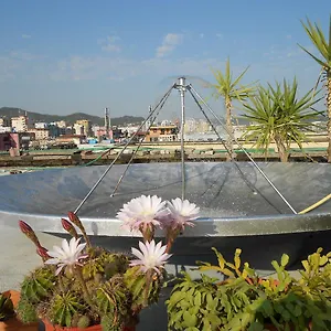 Albania Тирана